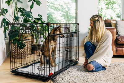 Lucky Dog DWELL Series Crate with Sliding Door