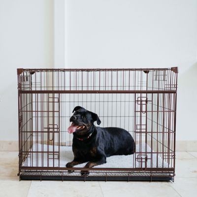 Image showing  DWELL Series 1-Door Metal Pet Crate with Sliding Door