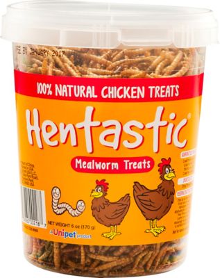 Hentastic Dried Mealworm Chicken Treats in Tamper-Proof Tub, 6 oz.