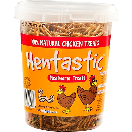 Hentastic Dried Mealworm Tamper Proof Tub, 6 oz.