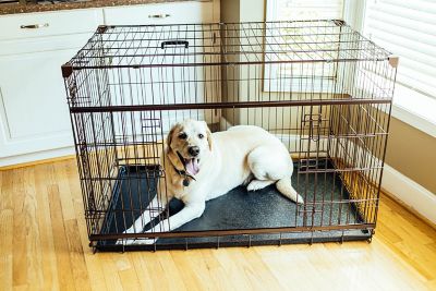 Lucky Dog DWELL Series 1-Door Metal Pet Crate with Sliding Door