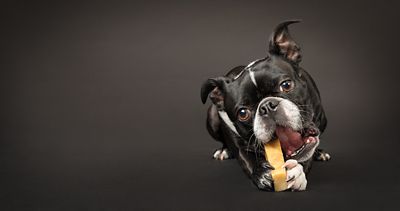 Image showing 7 th peaksNpaws All-Natural Medium Himalayan Yak Cheese Flavor Dog Chew Treats, 0.5 lb.