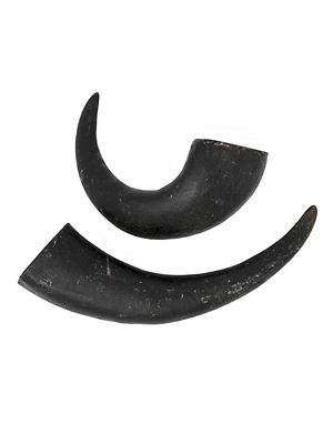 Image showing  All-Natural Small Water Buffalo Horns Dog Chews