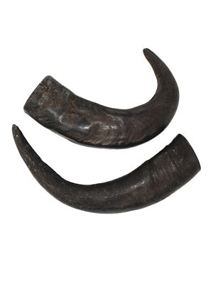 peaksNpaws All-Natural Medium Water Buffalo Horns Dog Chew Treats