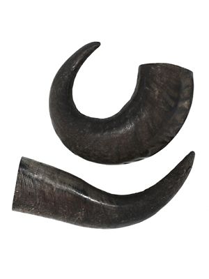 peaksNpaws All-Natural Large Water Buffalo Horns Dog Chew Treats