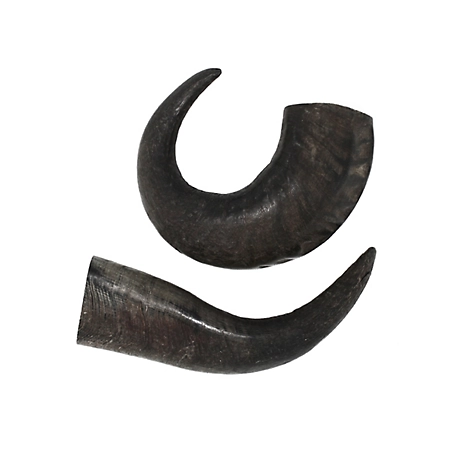 peaksNpaws All-Natural Large Water Buffalo Horns Dog Chew Treats
