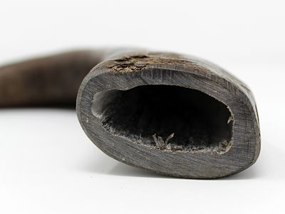 Image showing  All-Natural Large Water Buffalo Horns Dog Chew Treats, 1 lb.