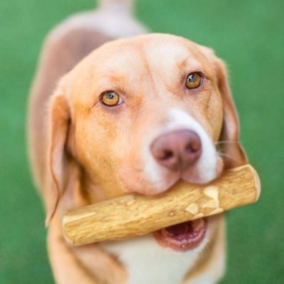 Image showing  All-Natural Large Caffeine-Free Coffee Wood Dog Chew Treats