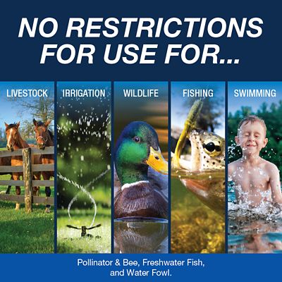 Image showing  Midnight Bayou Pond Colorant