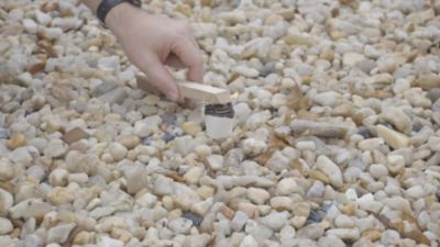 Image showing  Fire Starter 2 oz. Cups, Pack of 20