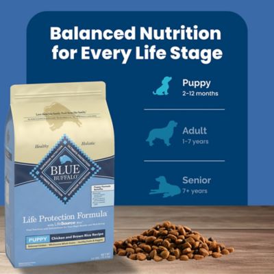 Image showing 7 th Blue Buffalo Life Protection Puppy Chicken and Brown Rice Recipe Dry Dog Food
