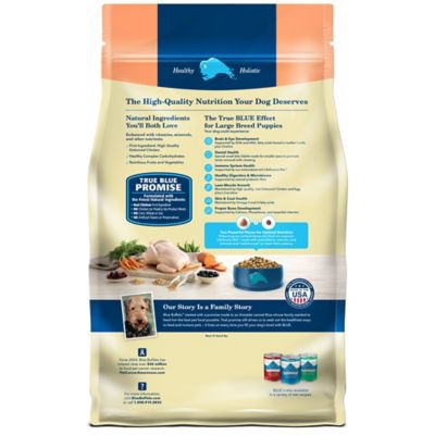 Image showing  Large Breed Puppy Chicken and Brown Rice Recipe Dry Dog Food