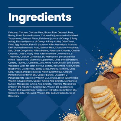 Image showing  Large Breed Puppy Chicken and Brown Rice Recipe Dry Dog Food