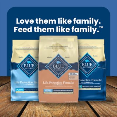 Image showing 8 th Blue Buffalo Life Protection Large Breed Puppy Chicken and Brown Rice Recipe Dry Dog Food