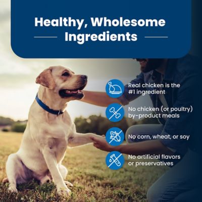 Image showing 5 th Blue Buffalo Life Protection Senior Chicken and Brown Rice Recipe Natural Dry Dog Food