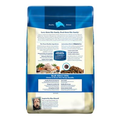 Image showing  All-Natural Adult Chicken and Brown Rice Recipe Dry Dog Food