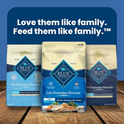 Image showing 7 th Blue Buffalo Life Protection All-Natural Adult Chicken and Brown Rice Recipe Dry Dog Food