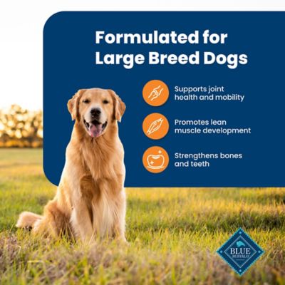 Image showing  Large Breed Adult Chicken and Brown Rice Recipe Natural Dry Dog Food