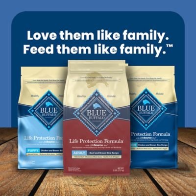 Image showing 8 th Blue Buffalo Life Protection Adult Beef and Brown Rice Recipe Dry Dog Food