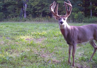 Image showing  1 gal. Liquid Trophy Rock