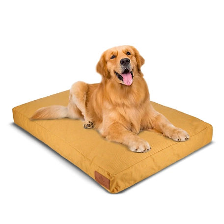 White Duck Heavy Duty Cotton Canvas Dog Beds with water-repellent coating and dirt-resistance