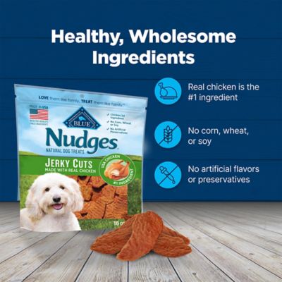 Image showing 5 th BLUE Nudges Natural Jerky Bites Chicken Flavor Dog Jerky Treats, 16 oz.