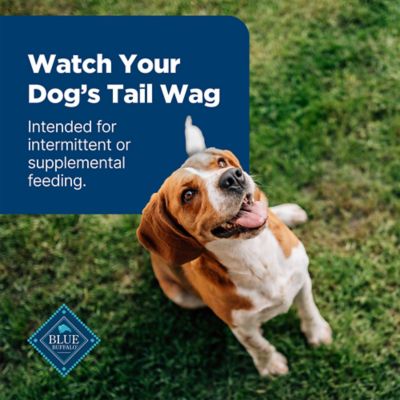 Image showing 6 th BLUE Nudges Natural Jerky Bites Chicken Flavor Dog Jerky Treats, 16 oz.