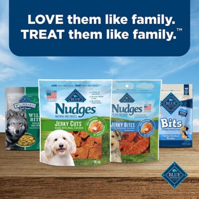Image showing 7 th BLUE Nudges Natural Jerky Bites Chicken Flavor Dog Jerky Treats, 16 oz.