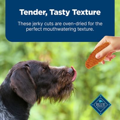 Image showing 5 th BLUE Nudges Jerky Cuts Natural Chicken and Duck Flavor Dog Jerky Treats, 16 oz.