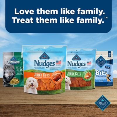 Image showing 8 th BLUE Nudges Jerky Cuts Natural Chicken and Duck Flavor Dog Jerky Treats, 16 oz.