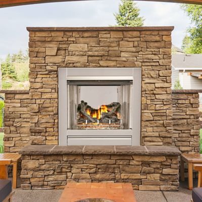 Image showing 8 th Duluth Forge Ventless Stainless Outdoor Gas Fireplace Insert with Glass Media & Log Set, 24,000 BTU, Manual Control, DF450SS-L