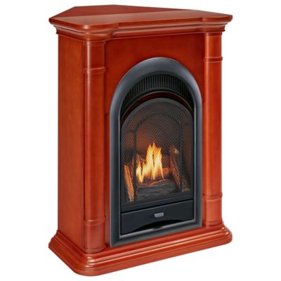 Image showing  Dual-Fuel Indoor Ventless Gas Fireplace System, 15,000 BTU, T-Stat Control, Apple Spice Finish