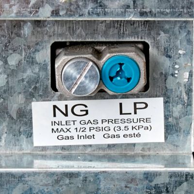 Image showing 7 th ProCom Dual-Fuel Indoor Ventless Gas Fireplace System, 15,000 BTU, T-Stat Control, Apple Spice Finish