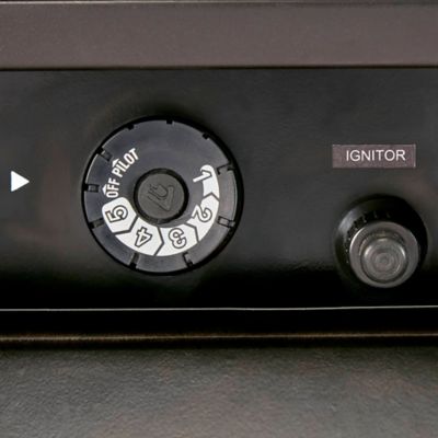 Image showing 9 th ProCom Dual-Fuel Indoor Ventless Gas Fireplace System, 15,000 BTU, T-Stat Control, Apple Spice Finish