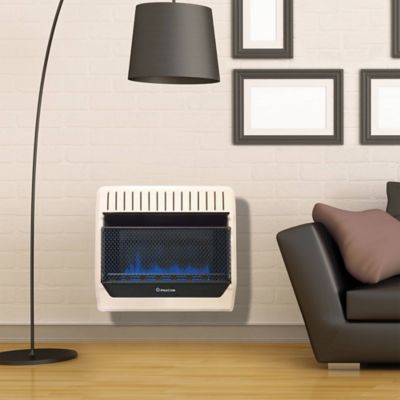 ProCom Heating Natural Gas Vent Free Blue Flame Gas Space Heater - 30,000 BTU, T-Stat Control - Model# Mn300Tbg