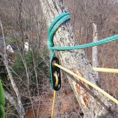 Image showing  Safebloc Rigging Thimble, 36680