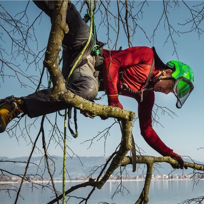 Pfanner Protos Integral Arborist Helmet – Orange & Yellow Climbing Helmet (PROTOS-ONY)