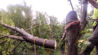 Image showing  Tenex Tec Sling with Safebloc 3/4 in. x 16 ft., 36694