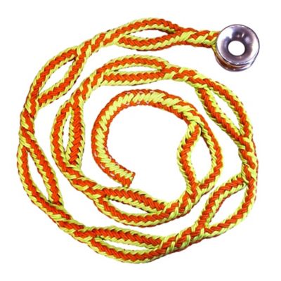 ROPE Logic Ultra Ring Sling with #3 Ring 3/4 in. x 9 ft. Trex, 40205