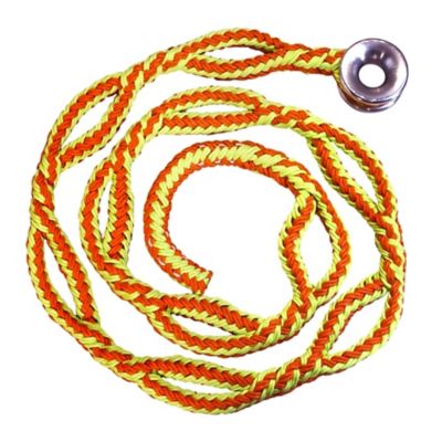 ROPE Logic Ultra Ring Sling with #3 Ring 3/4 in. x 9 ft. Trex