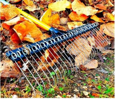 Image showing  Rake Replacement Head Only, 18406