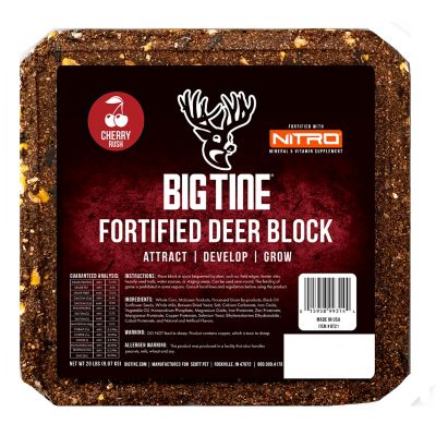 Big Tine Fortified Deer Block, 20 lbs
