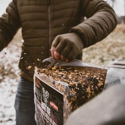 Image showing  Fortified Deer Block, 20 lb. Block