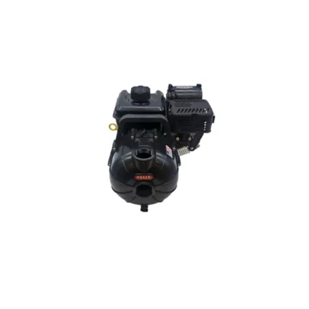 Pacer 6.5 HP 200 GPM Engine Driven Gasoline Chemical and Clear Water Transfer Pump Transfer Pumps