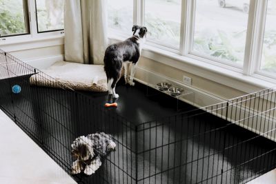Image showing 3 th G-Floor 75 Mil Ceramic Texture Vinyl Pet Floor Protector
