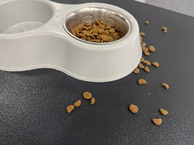 Image showing  75 Mil Ceramic Texture Vinyl Pet Floor Protector