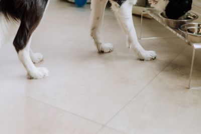 Image showing  Ceramic Texture Vinyl Pet Floor Protector, 5 ft. x 10 ft., Clear