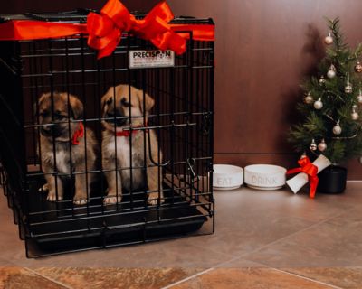 Image showing  Ceramic Texture Vinyl Pet Floor Protector, 5 ft. x 10 ft., Clear