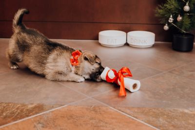 Image showing  Ceramic Texture Vinyl Pet Floor Protector, 5 ft. x 10 ft., Clear