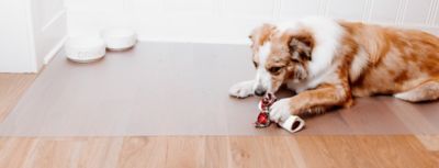 Image showing 5 th G-Floor Ceramic Texture Vinyl Pet Floor Protector, 5 ft. x 10 ft., Clear